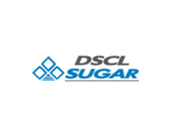 dscl-sugar logo